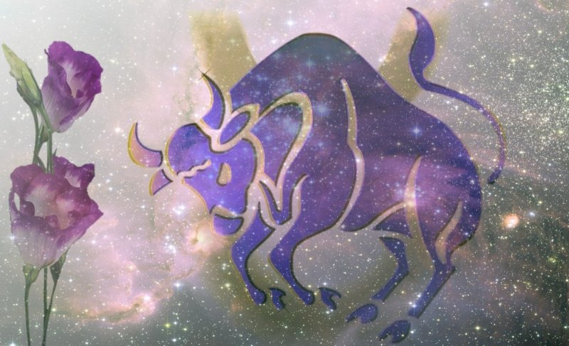 Я хочу посмотреть год 2022 год козерога хочу посмотреть новое