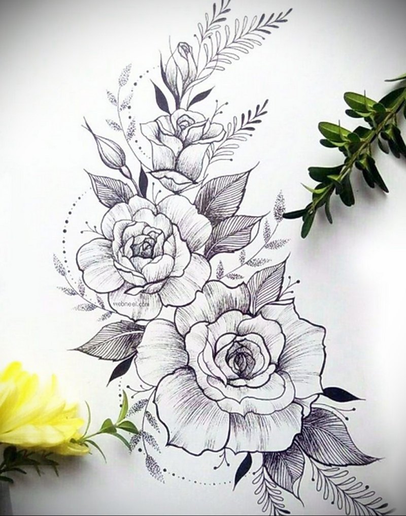 Пионы linework