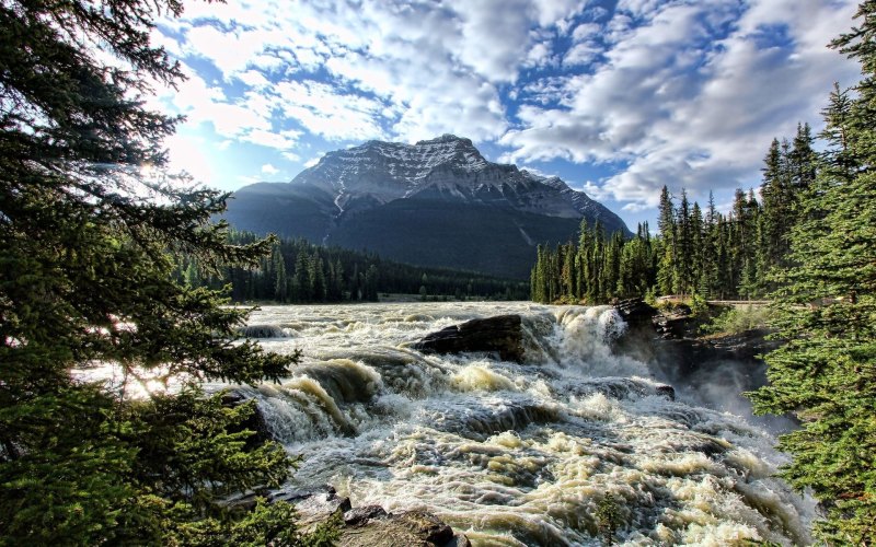 Водопад река горы лес