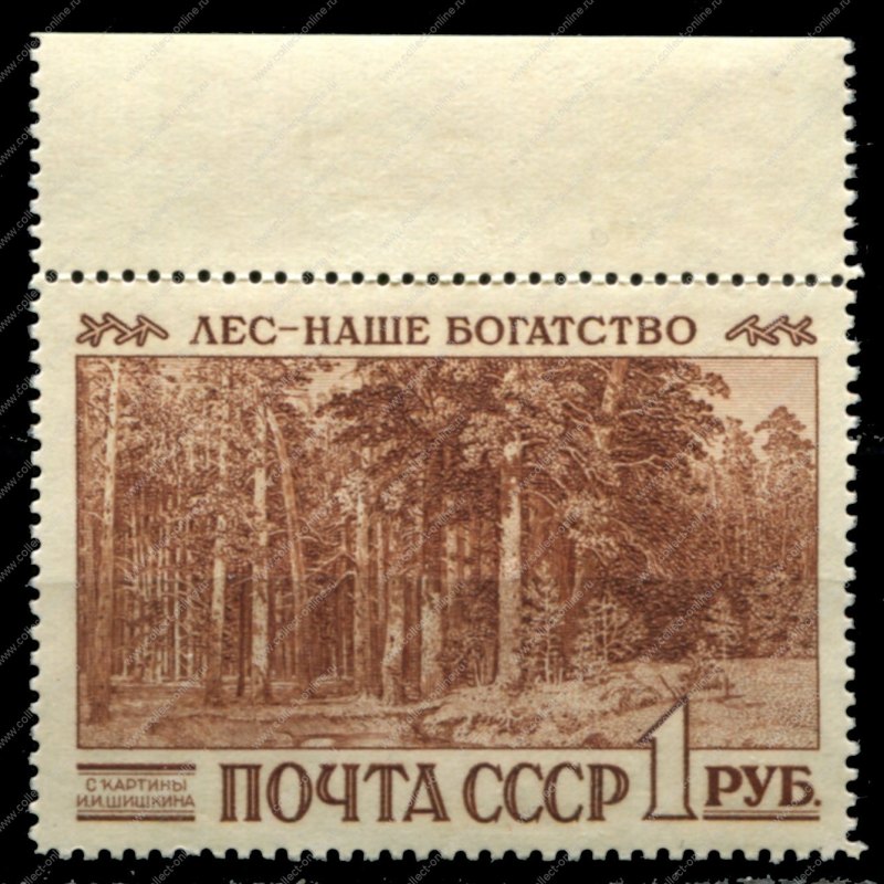 Сочинение про лес