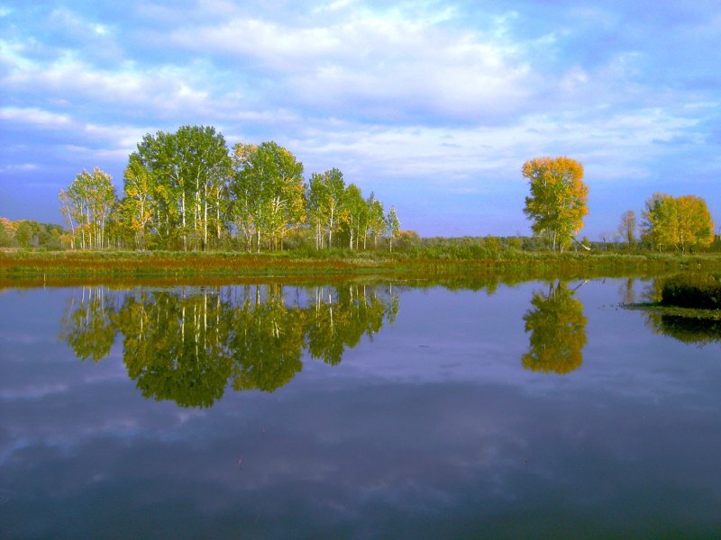 Река Обь фотоснимок