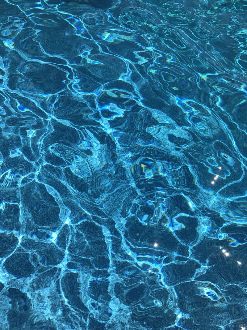 Ханахаки гортензия