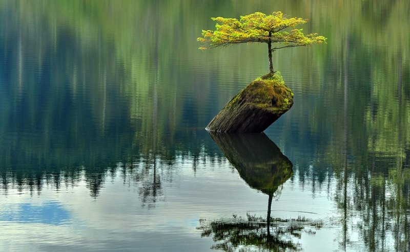 Умиротворяющая природа