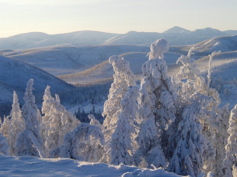 Карта физико-географического районирования