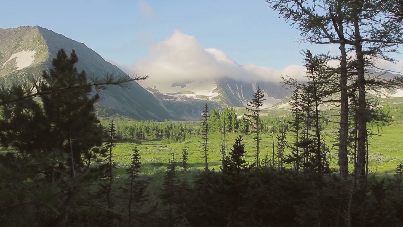 Климат Восточно сибирской тайги