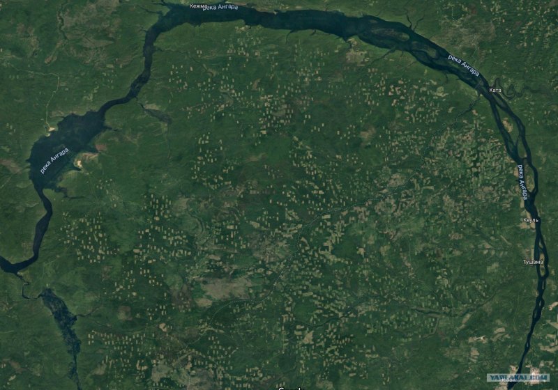 DIGITALGLOBE перепись животных 2008