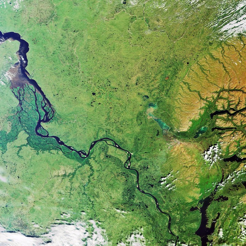 Космический мониторинг лесных насаждений