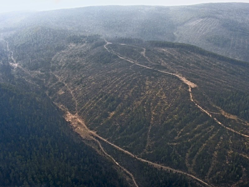 Edward Burtynsky Anthropocene