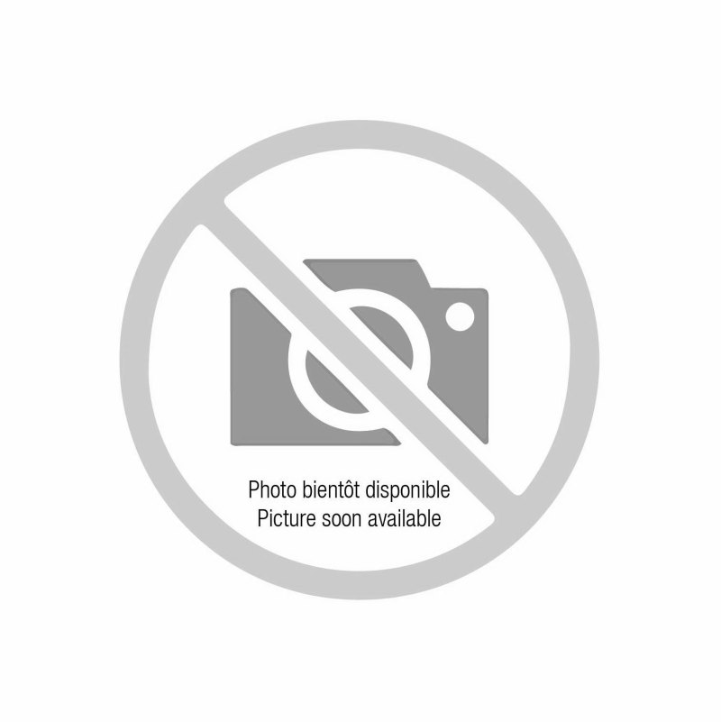 Близнецы стихия