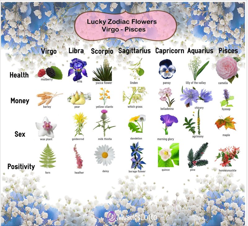 Растения по зодиаку