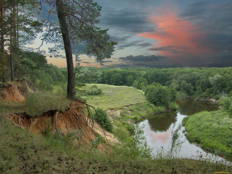 Природа Хопра Пензенская область