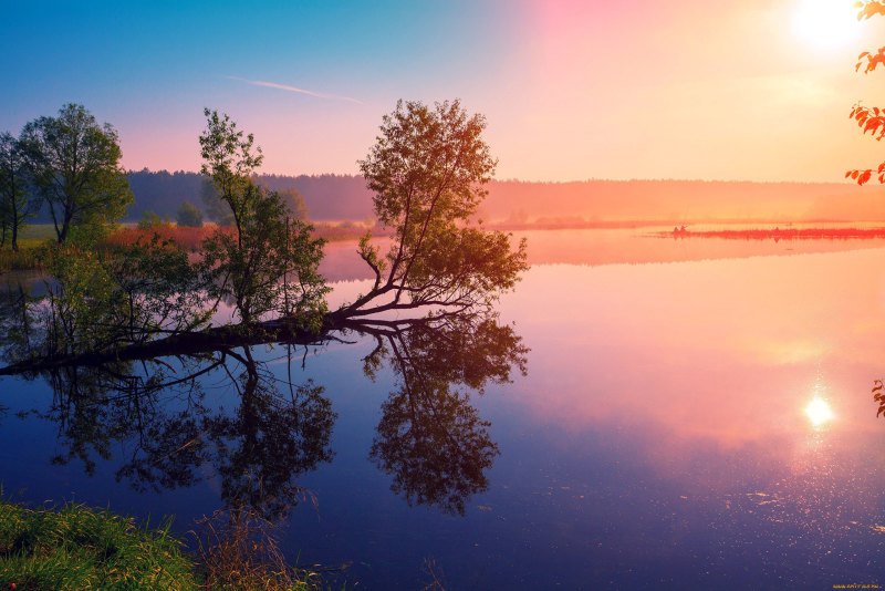 Природа река солнце