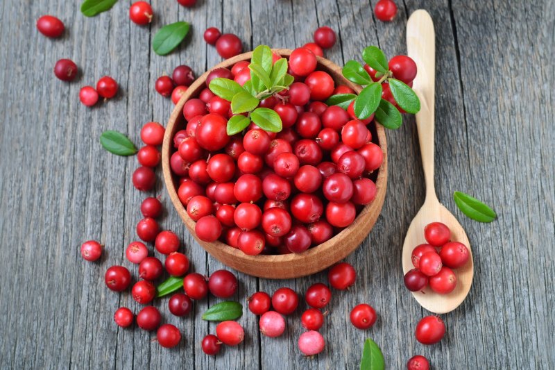 Cowberry брусника