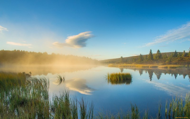 Алекс си