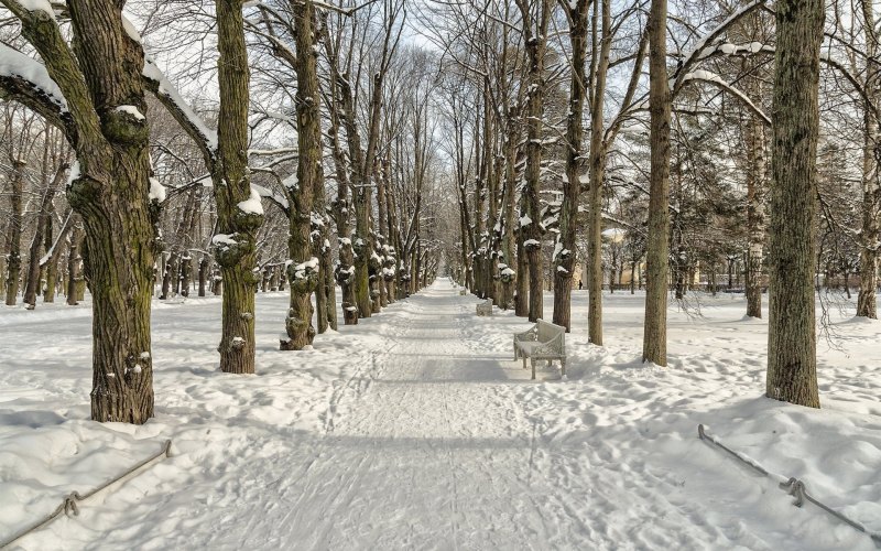 Зимняя аллея в парке Чехова Пермь