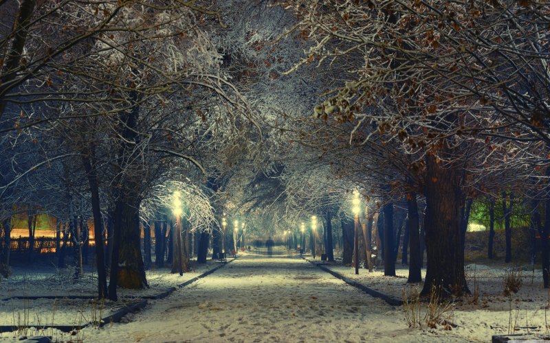 Зимняя аллея в парке