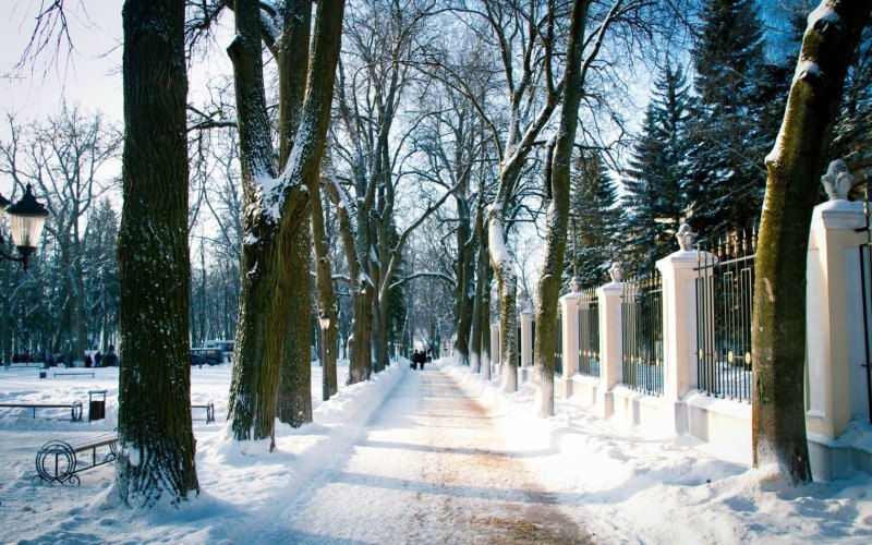 Зимний пейзаж черно белый