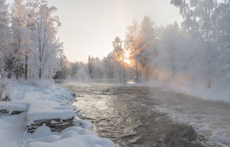 Фёдор Лашков живопись