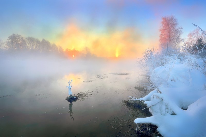 Морозное утро