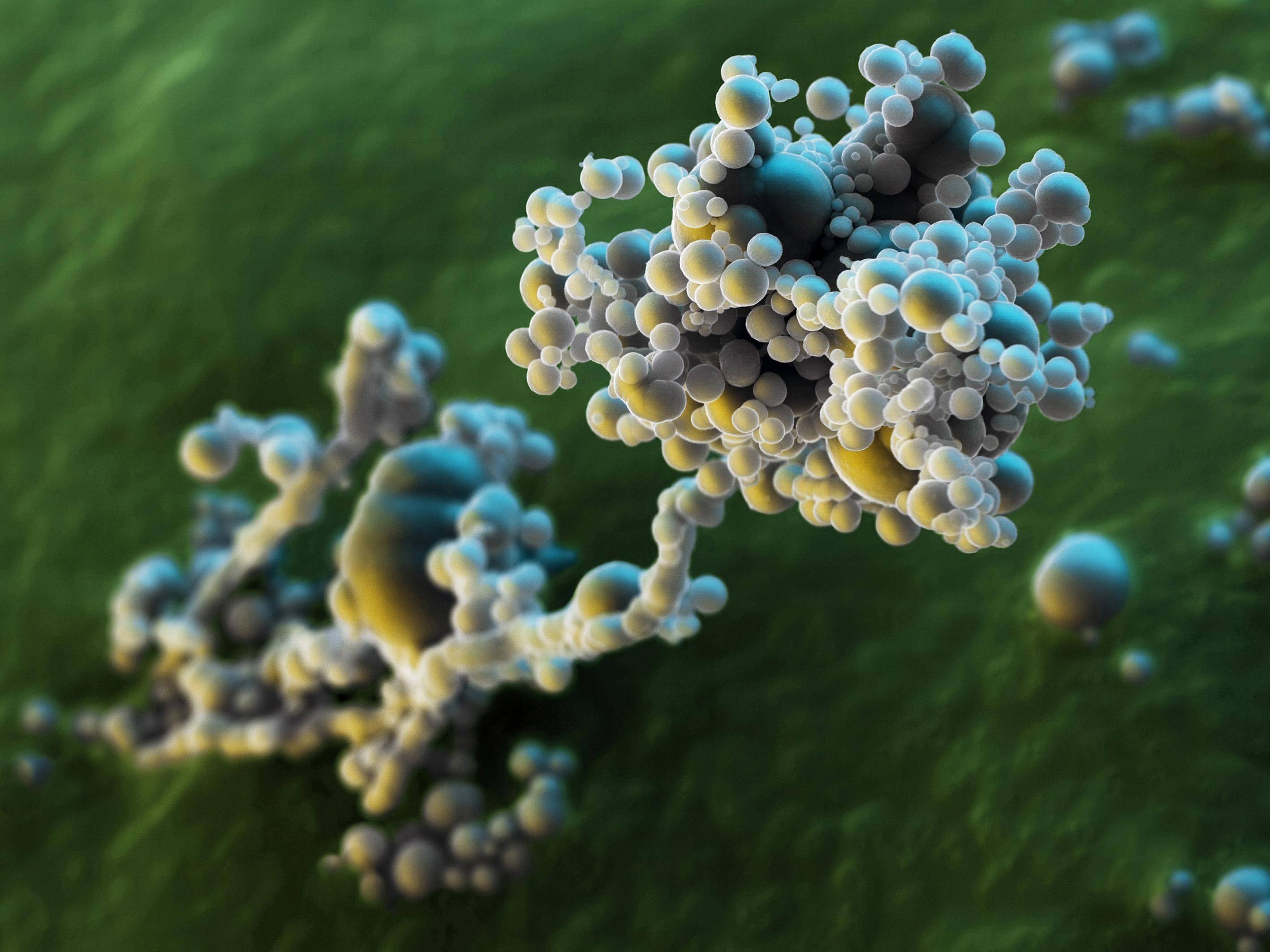 Фото молекулы. Молекула под микроскопом. Фотография молекулы. Химические соединения под микроскопом. Молекулы в природе.