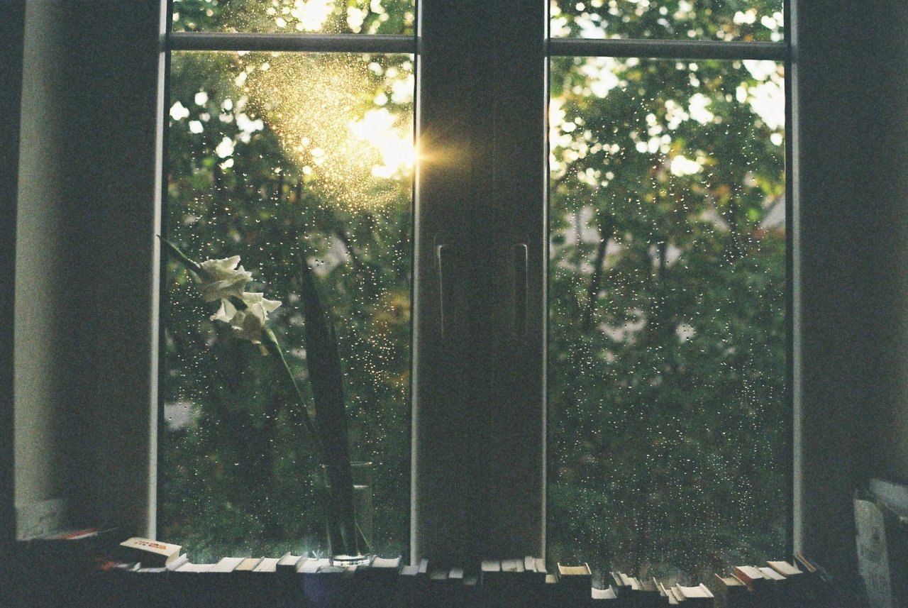 Ilgiz за окном дождь. Атмосферный вид из окна. Природа за окном. Вид из окна дождь. Атмосферное окно.