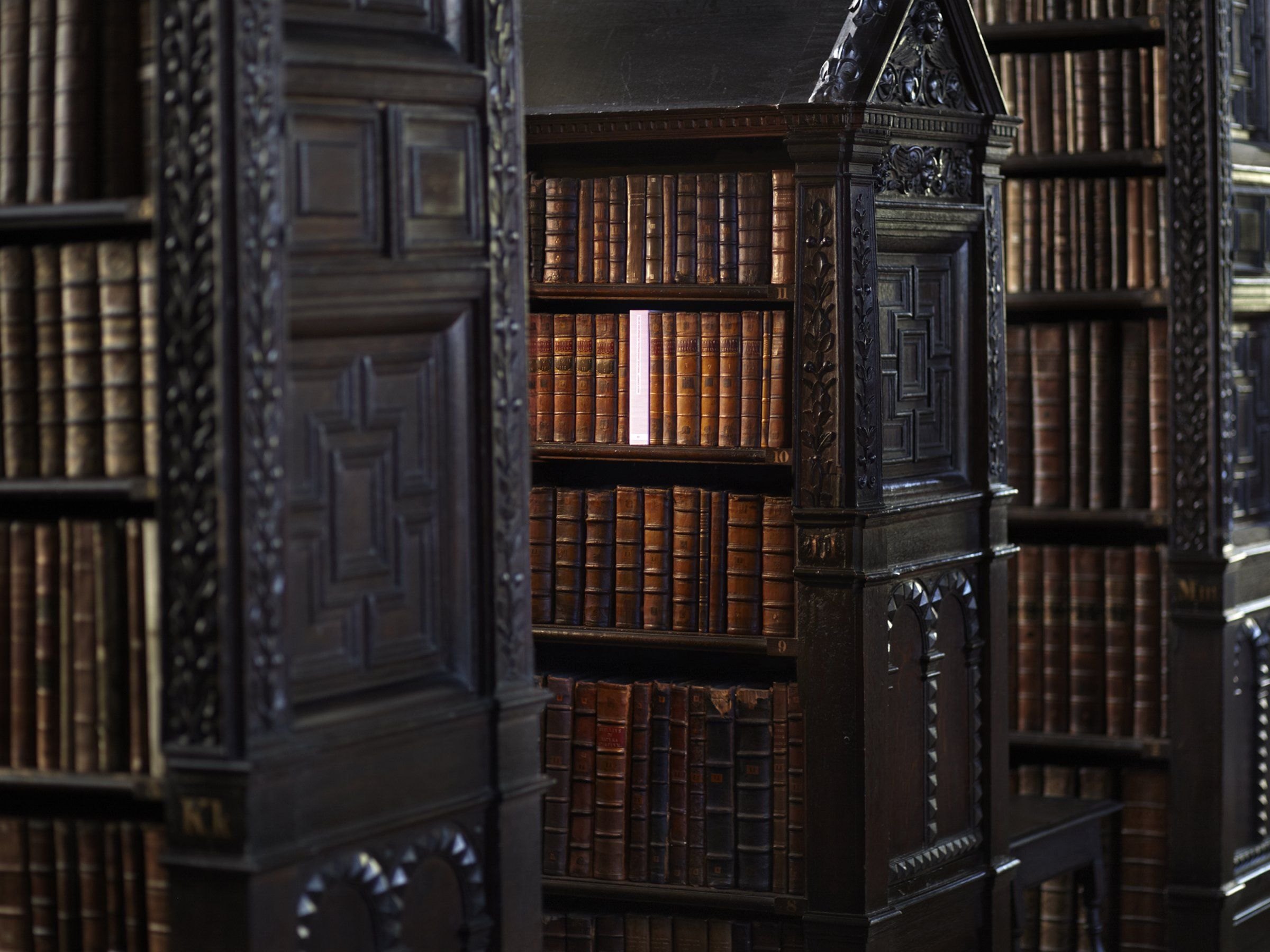Старинный книжный шкаф. Готическая библиотека книжная капелла. Кабинетный книжный шкаф Готика. Библиотека Dark Academia.
