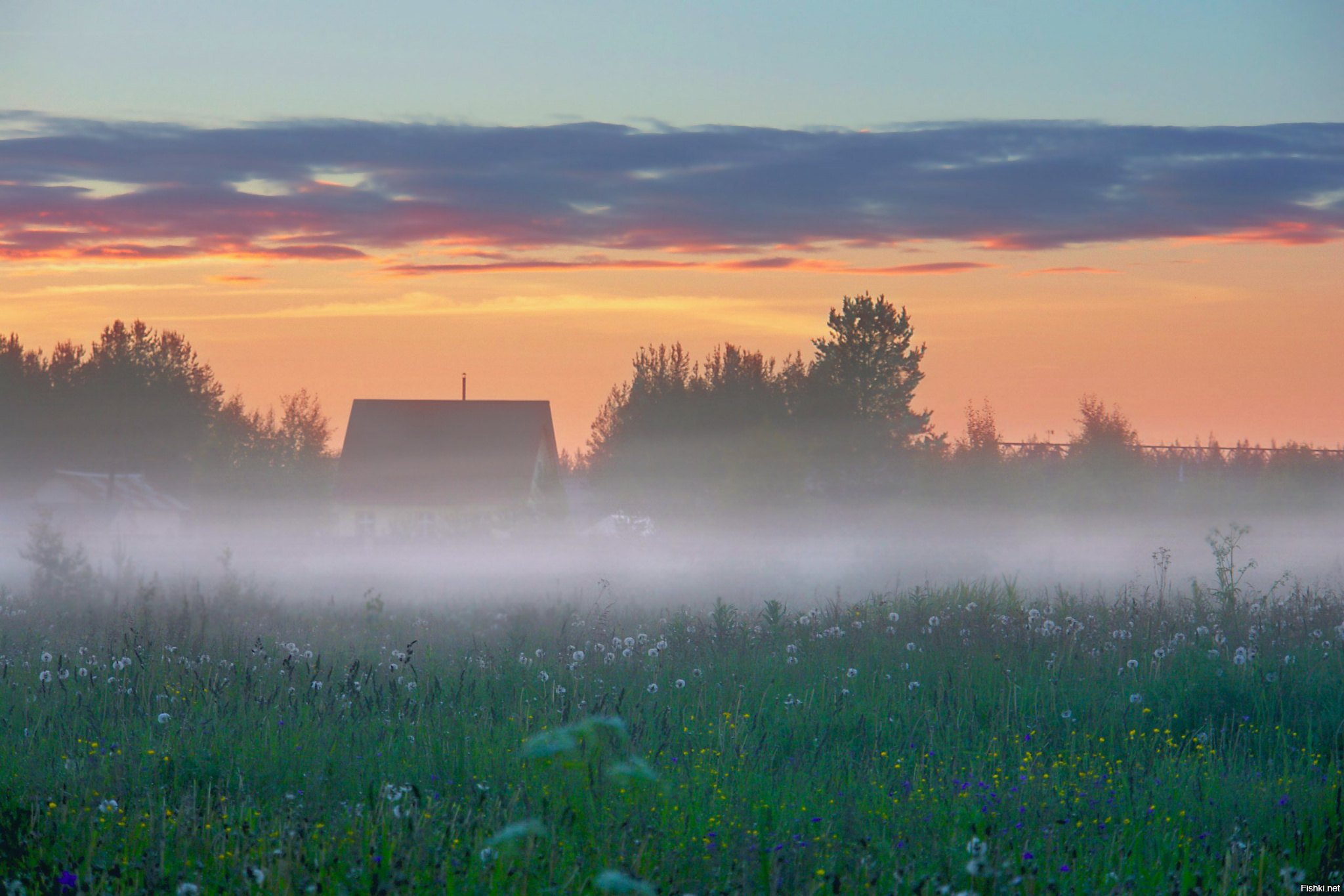 Раннее утро вот крохотные. Кенозерский национальный парк рассвет туман. Утренний пейзаж деревня Герасимов. Рассвет в деревне. Летний рассвет в деревне.