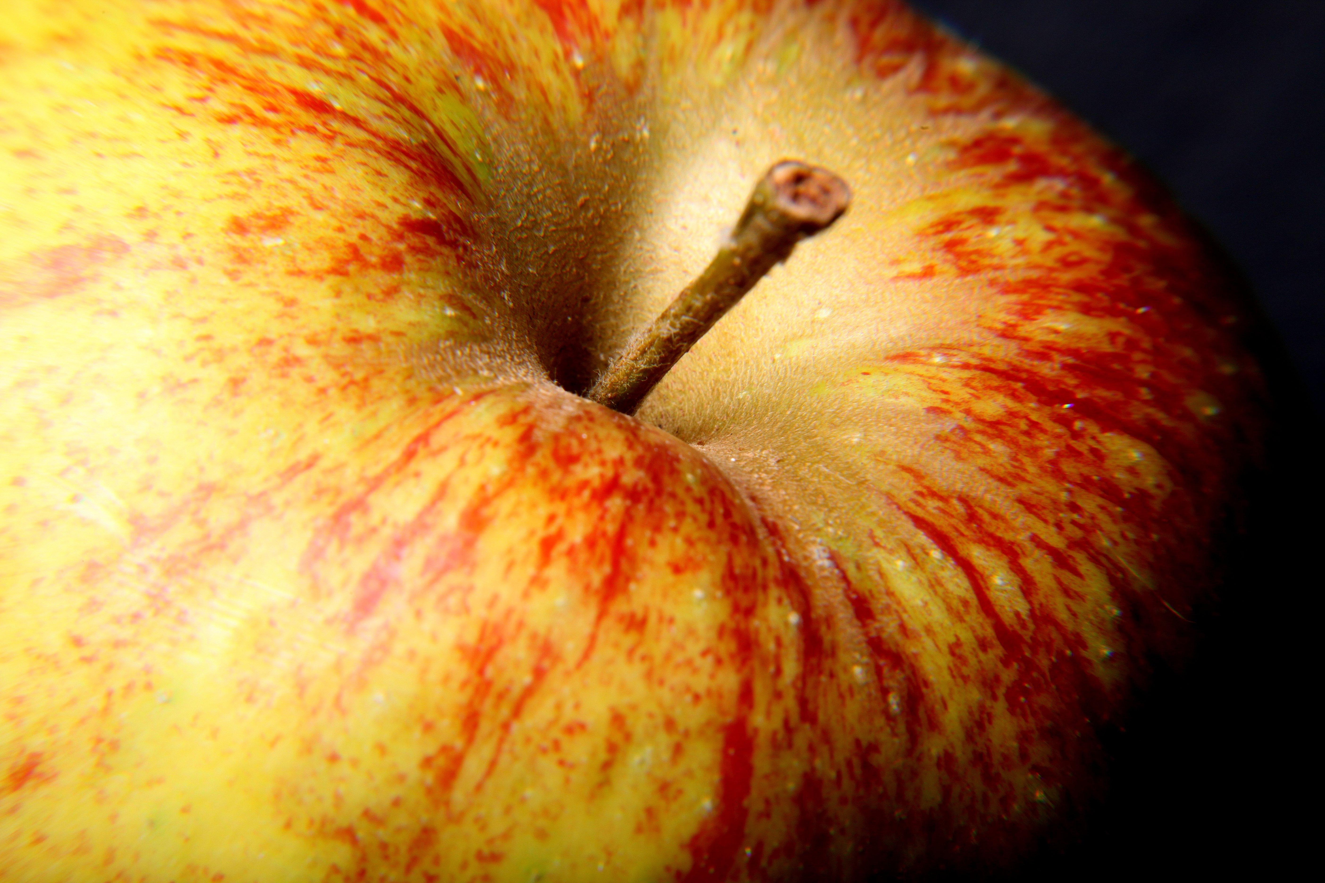 Замечены яблоки. Яблоко. Яблоко макро. Яблоко аппетитное. Яблоко вблизи.