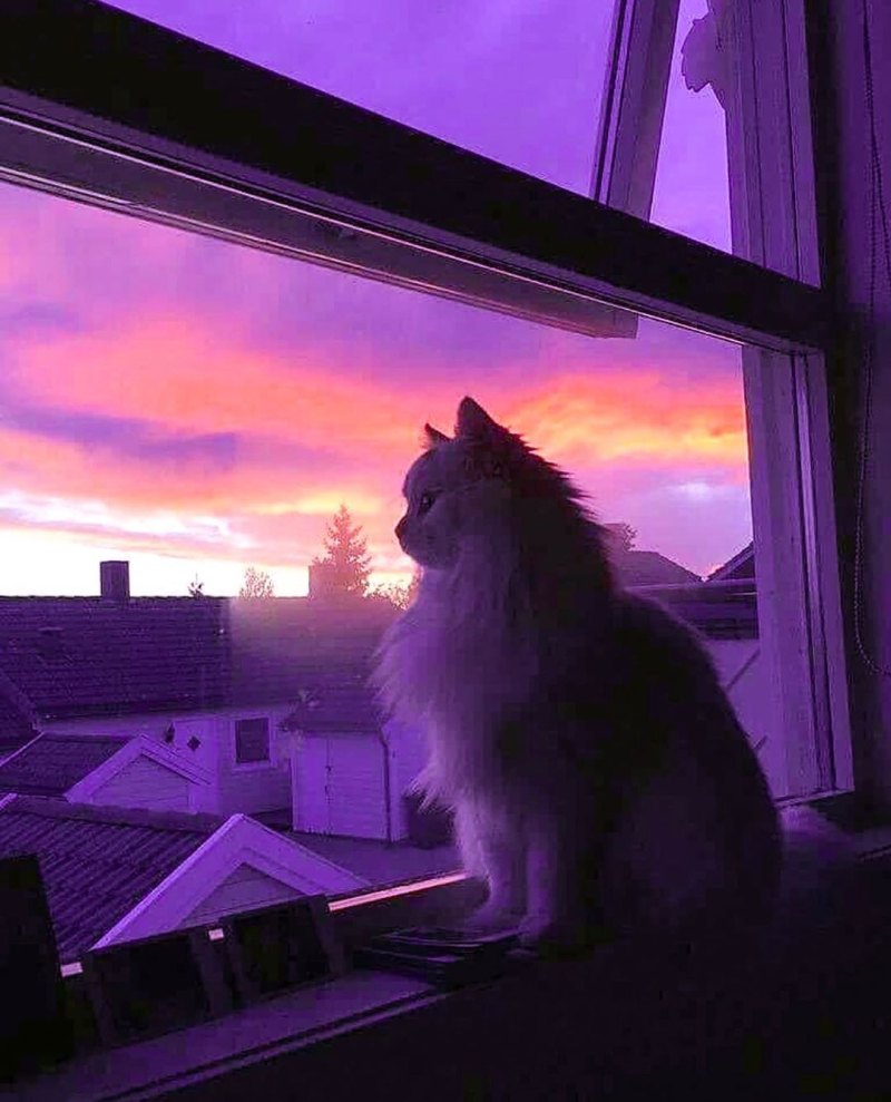 Эстетика светло голубого