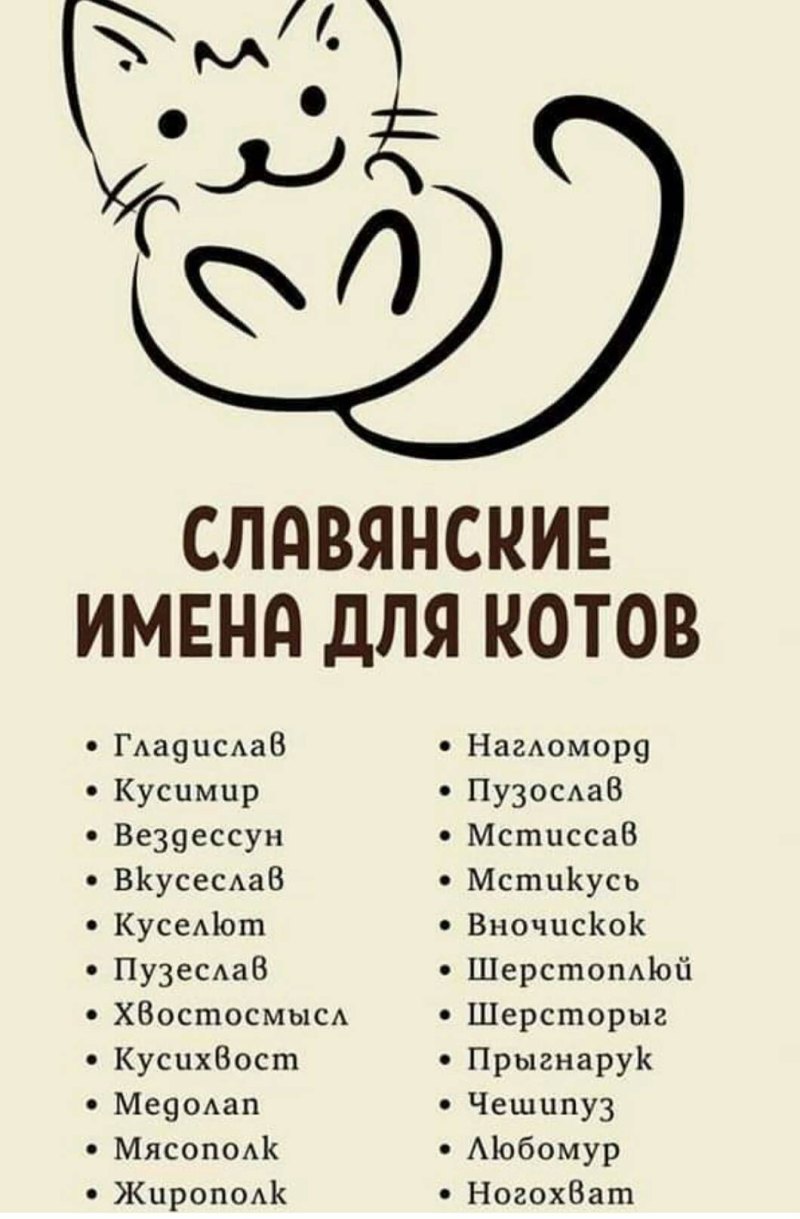 Красивые <b>имена</b> <b>для</b> кошек.