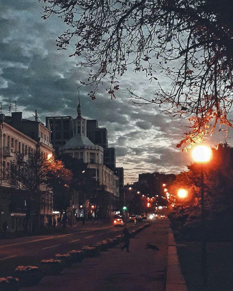Эстетика ночи