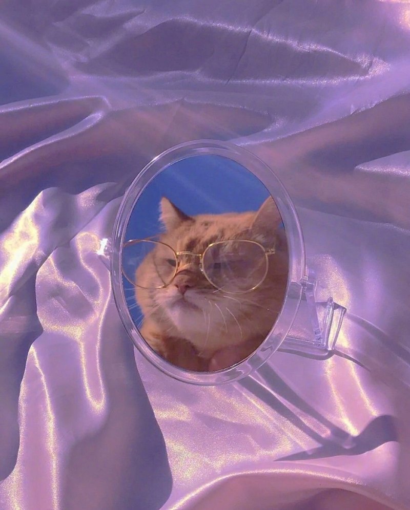 Котики Эстетика в одежде