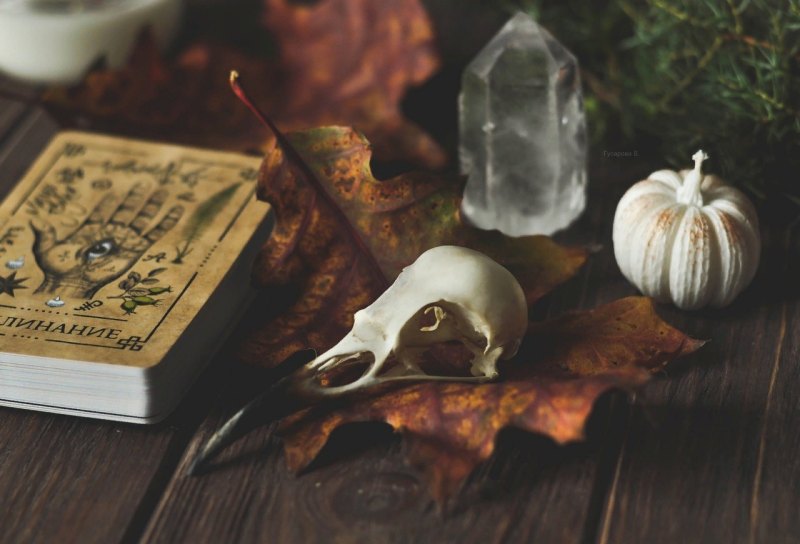 Обои Halloween aesthetic