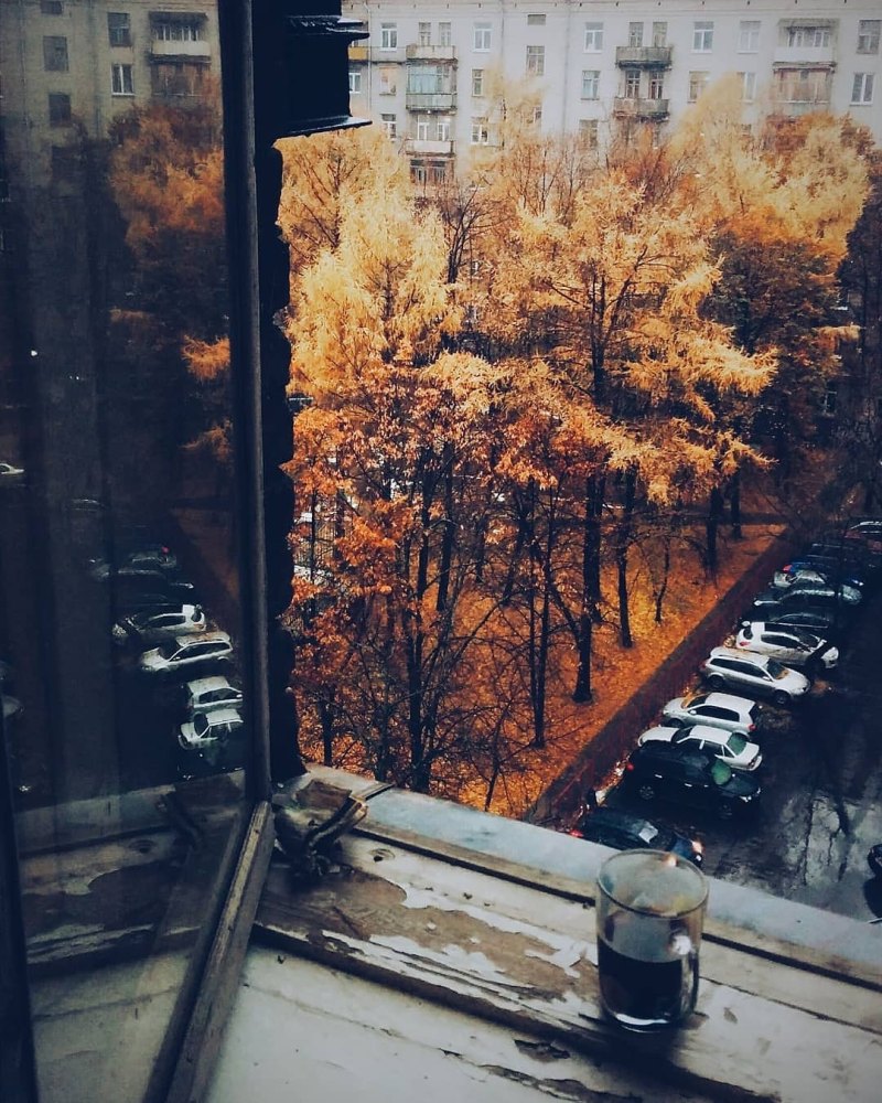 Уютная осень