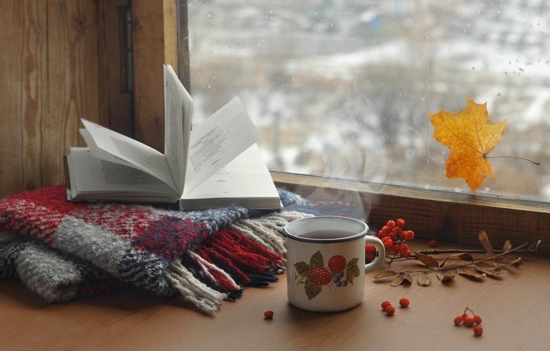 Осень книги Эстетика