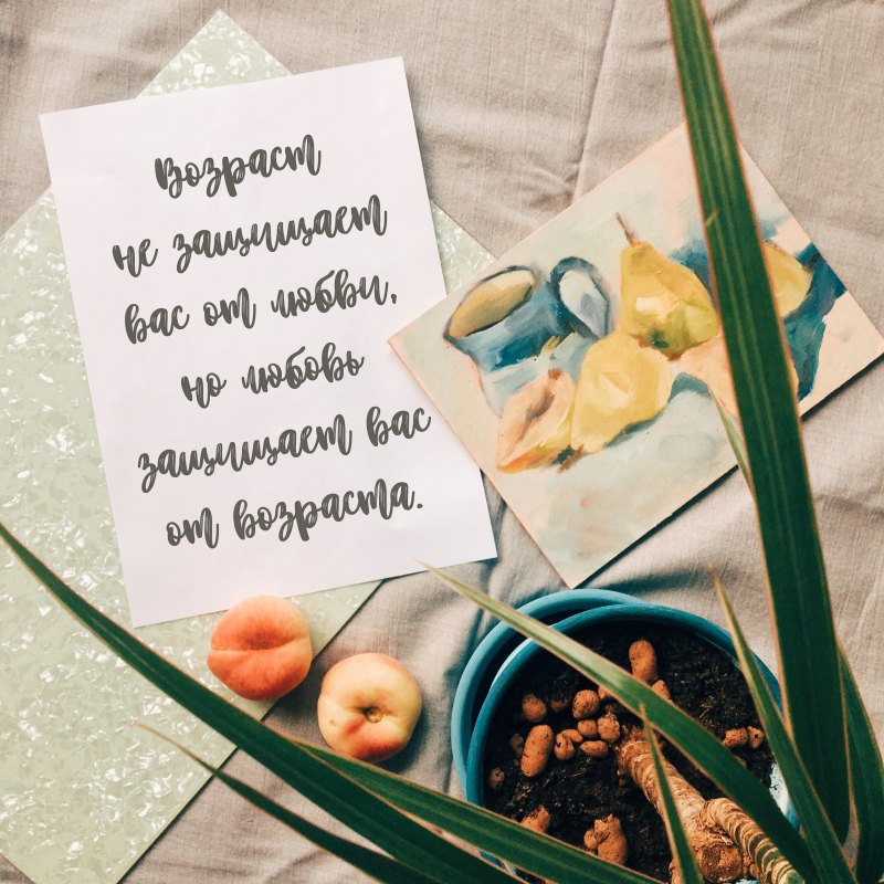 Фразы о еде