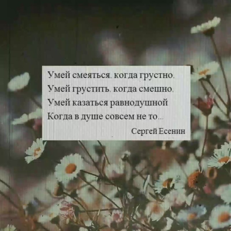 Красивые перекусы