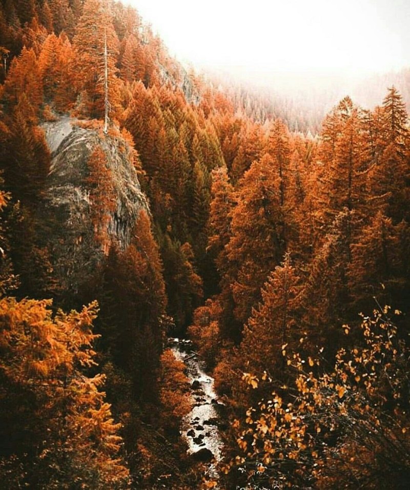 Осень Эстетика