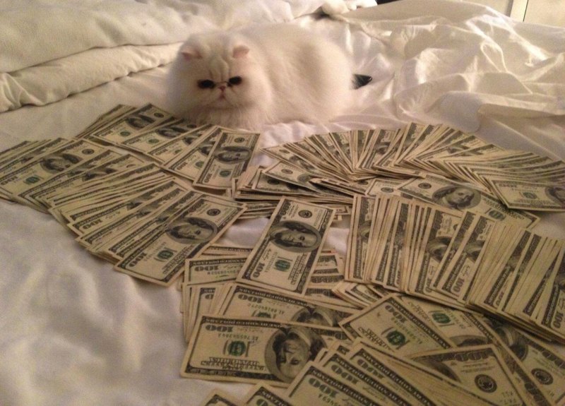 Много денег