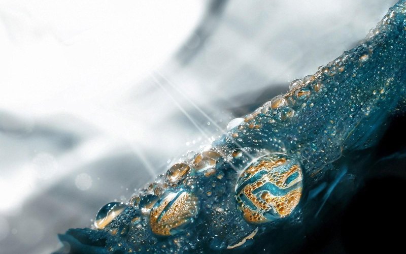 Картинка на рабочий стол капля воды