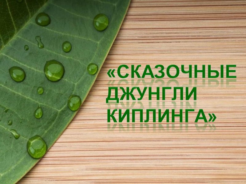 Экология дома