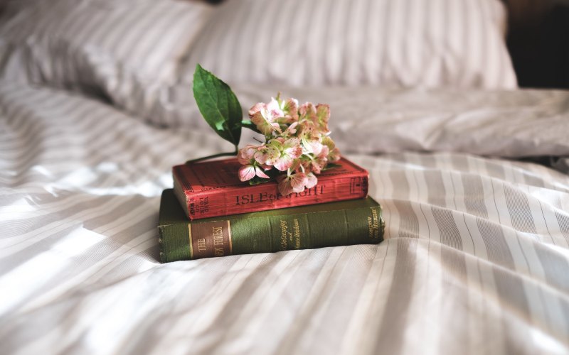 Книги обои