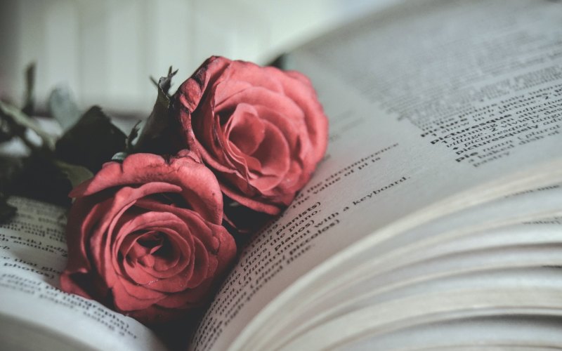 Книга цветы