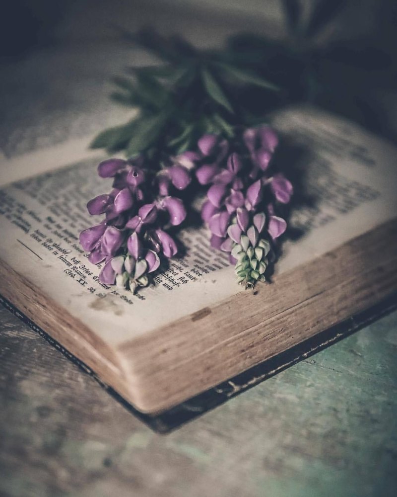 Книга с цветами Эстетика