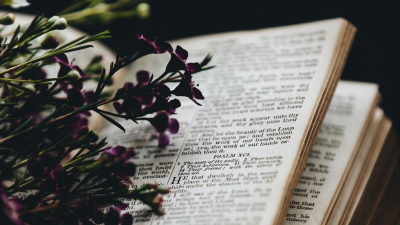 Эстетика книг и цветов