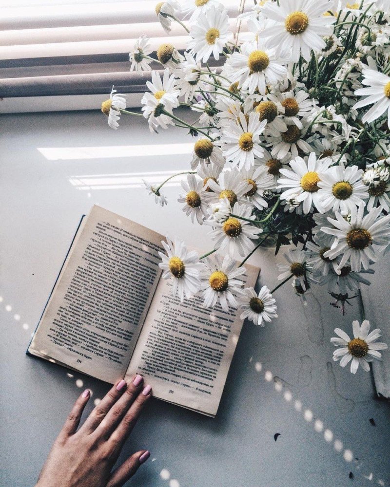 Эстетика книг и цветов