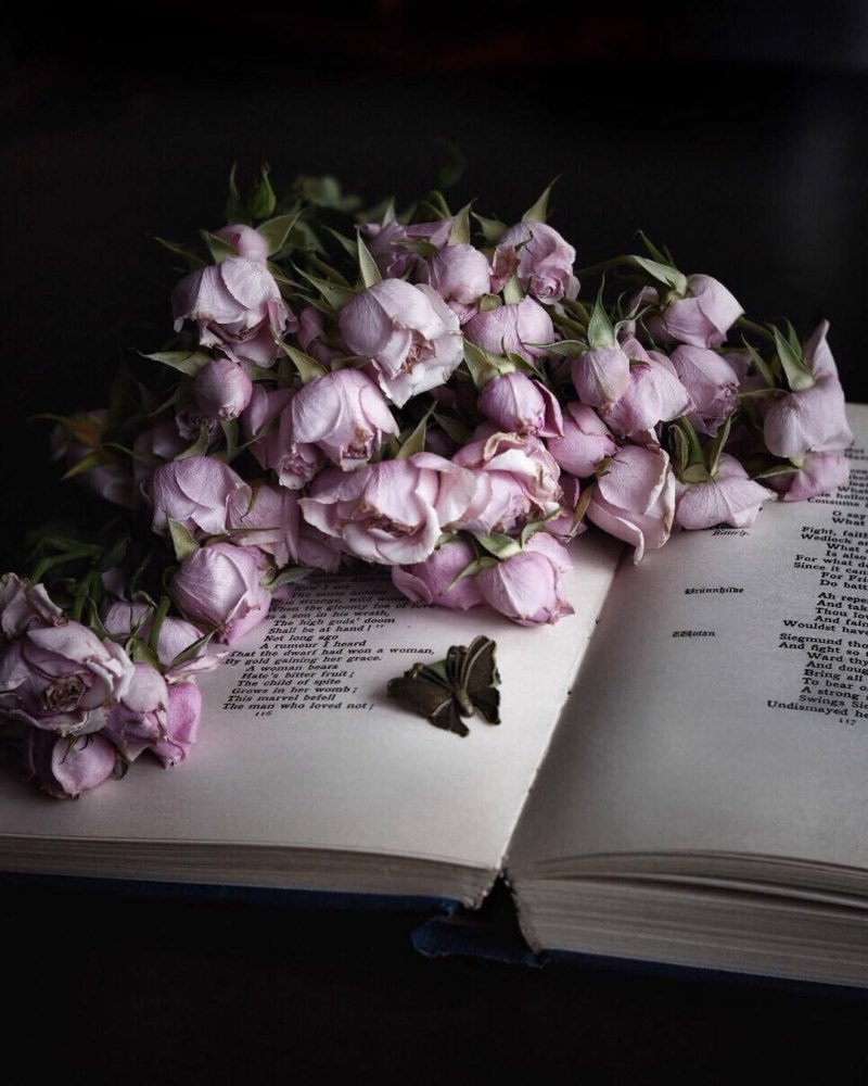 Эстетика книг и цветов