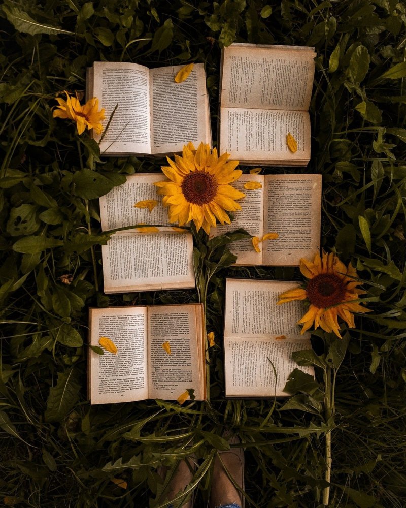 Эстетика книг и цветов