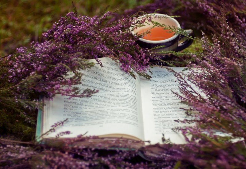 Книги, чай, Лаванда