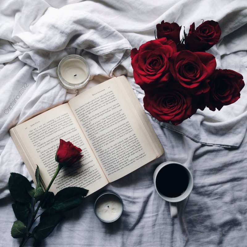 Эстетика розы и книги